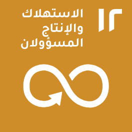 الهدف 12: الاستهلاك والإنتاج المسؤولان الهدف 12: الاستهلاك والإنتاج المسؤولان
